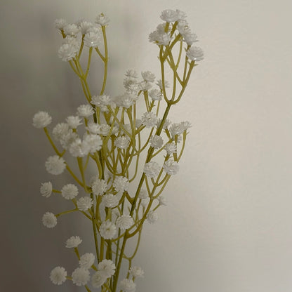 Baby Breath Gypsophila White