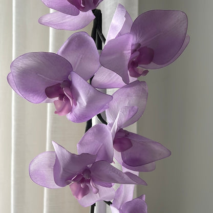 Real Touch Single Stem Orchid Lilac