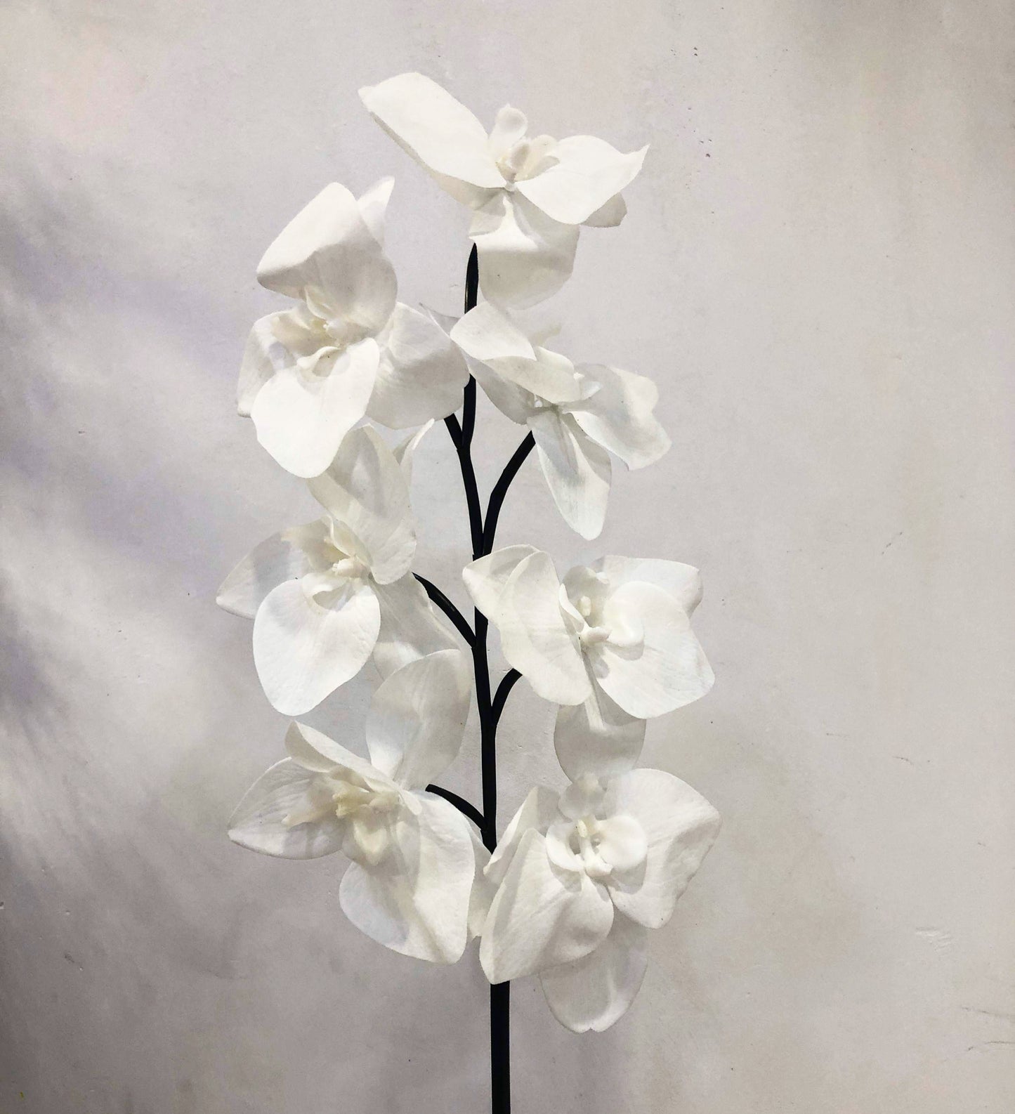 Real Touch Single Stem Orchid White