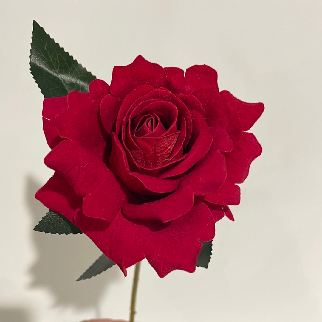 Velvet Single Stem Rose Red