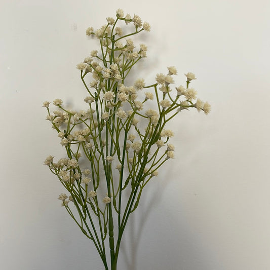 Baby Breath Gypsophila Cream