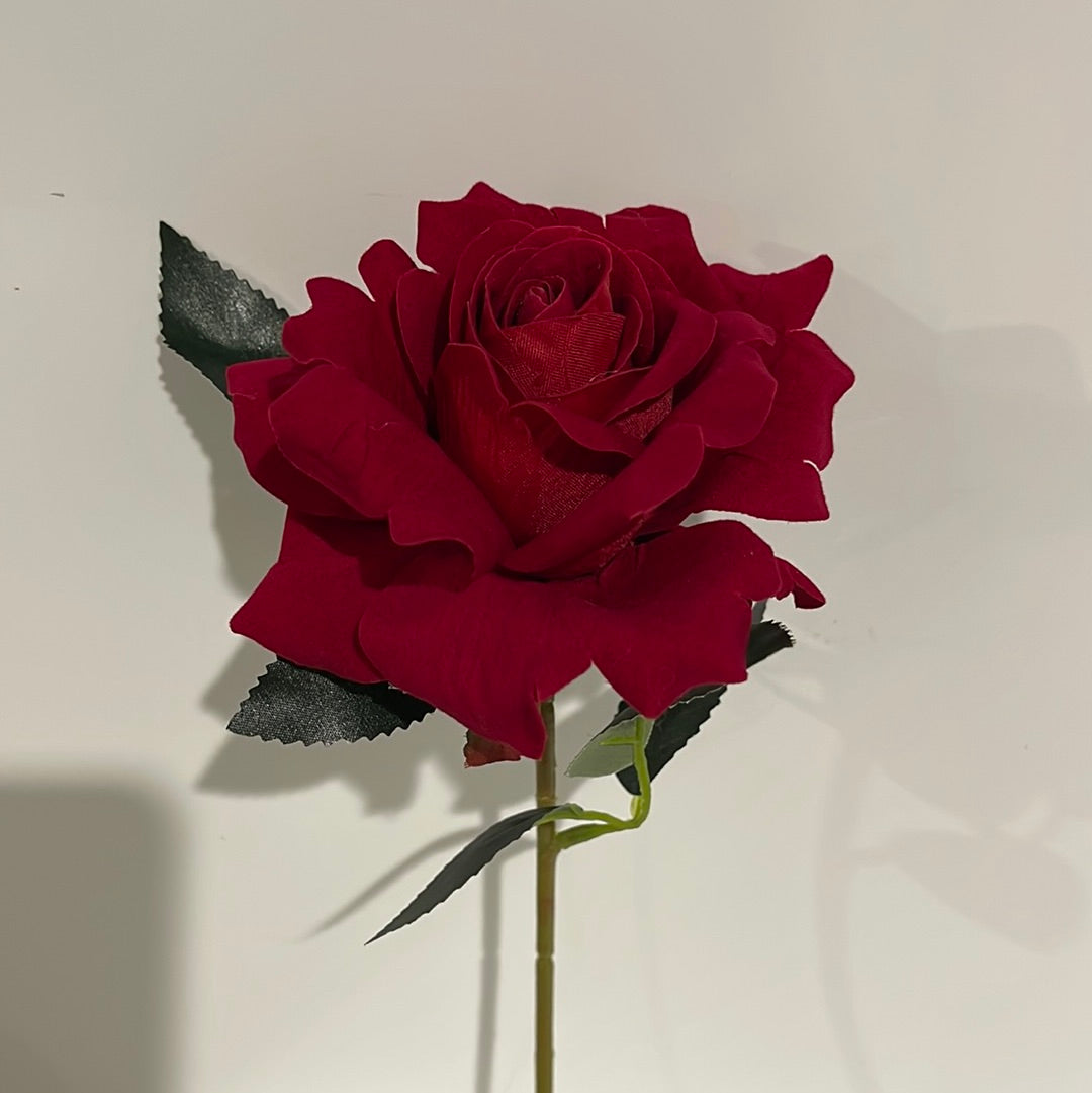 Velvet Single Stem Rose Red