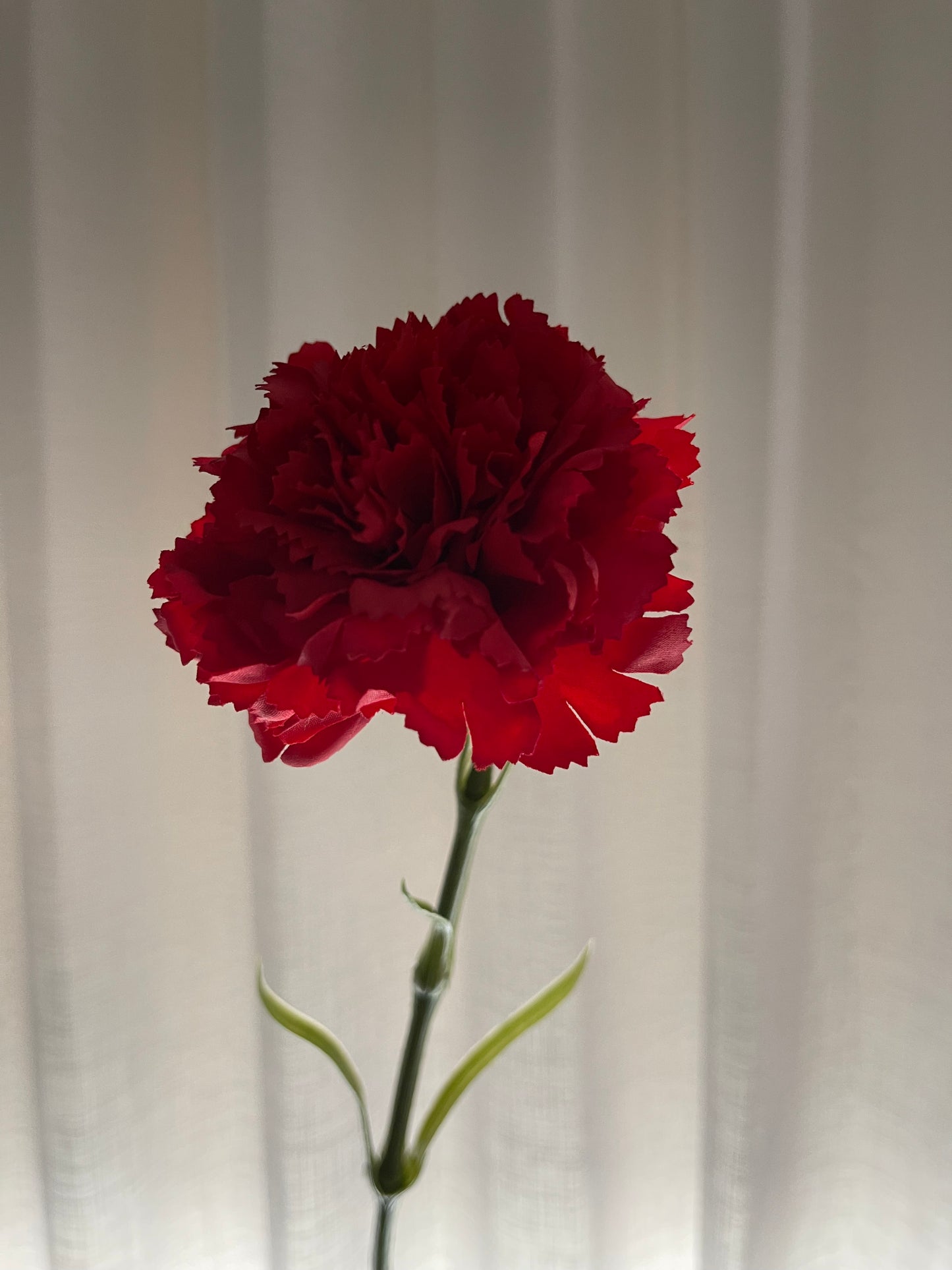 Real Touch Carnation Single Stem Red