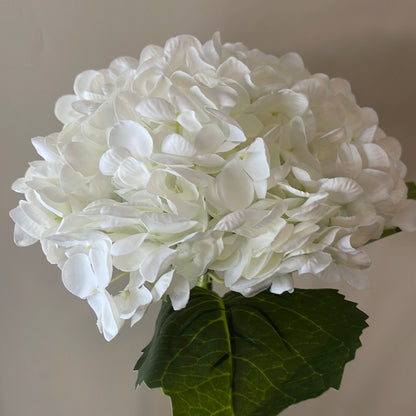 Real Touch Hydrangea White Large