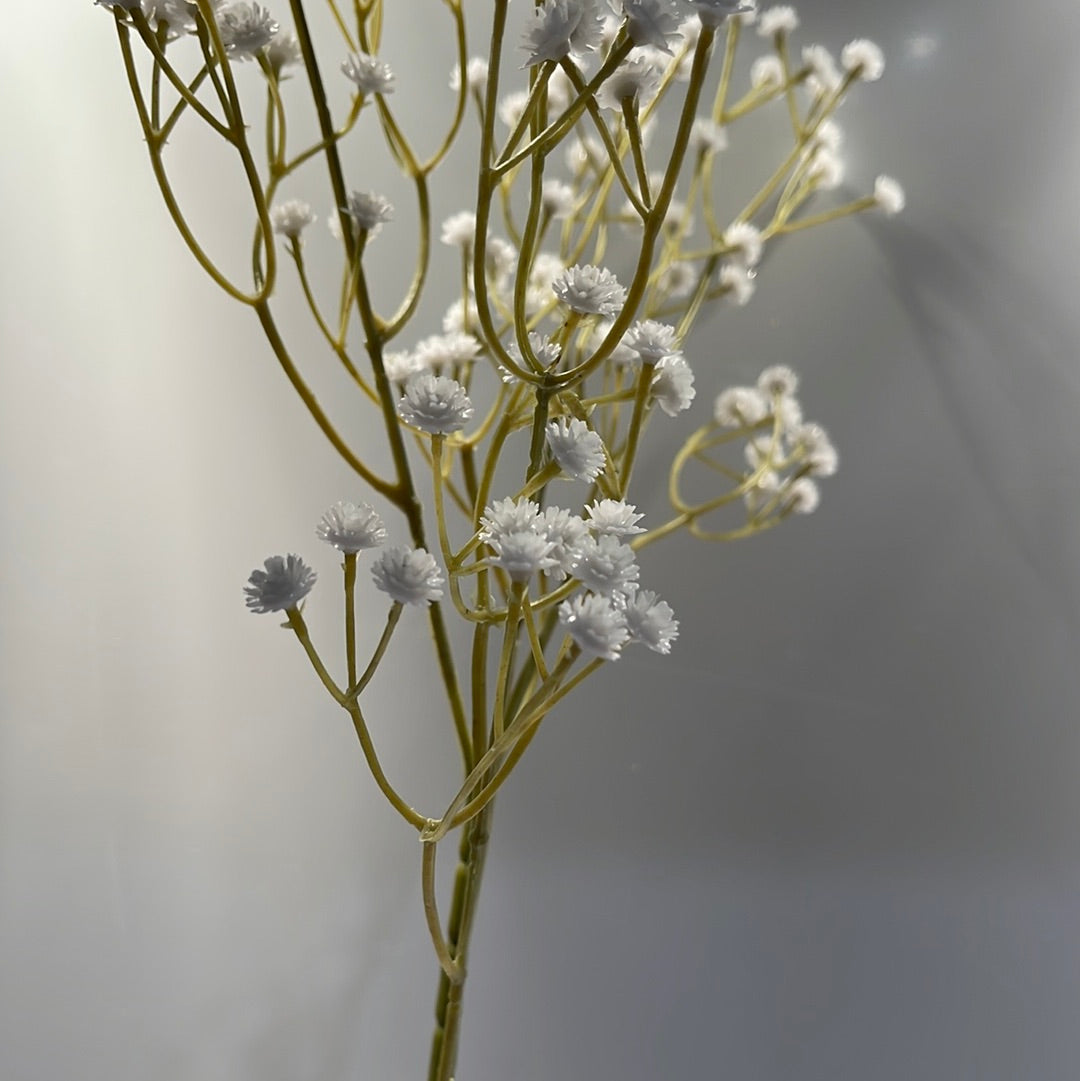 Baby Breath Gypsophila White