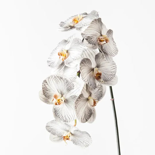 Real Touch Phalaenopsis Orchid Stem