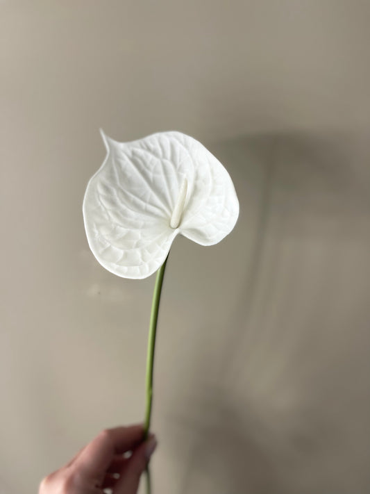 Real Touch Anthurium White Large