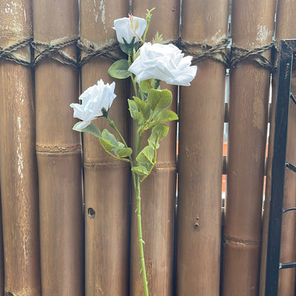 3 Stem Roses Pure White