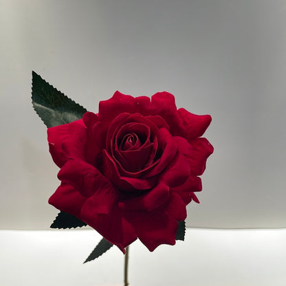 Velvet Single Stem Rose Red