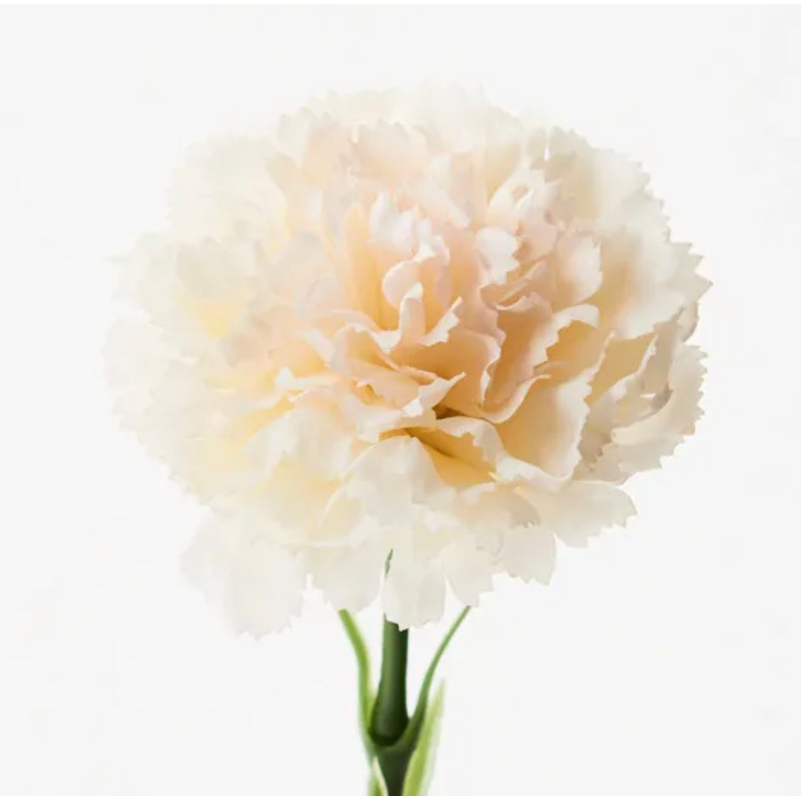 Real Touch Carnation Single Stem Ivory