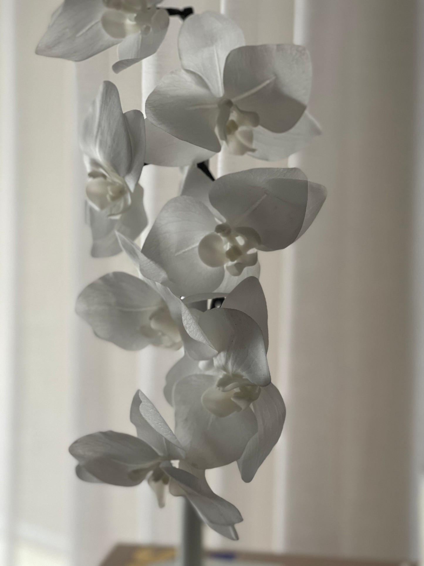 Real Touch Single Stem Orchid White