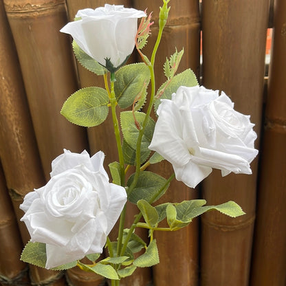 3 Stem Roses Pure White