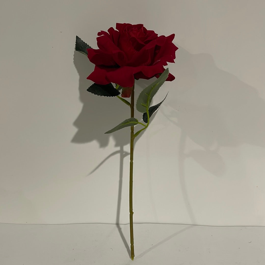 Velvet Single Stem Rose Red