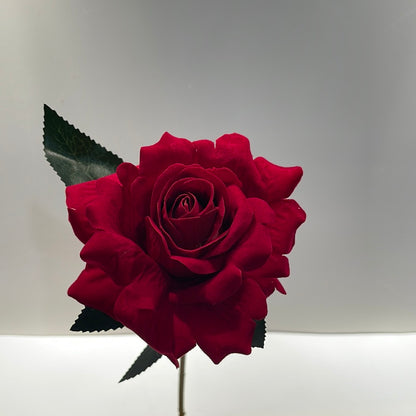 Velvet Single Stem Rose Red