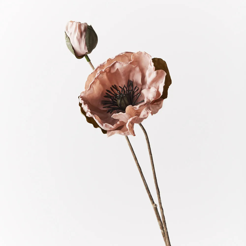 Poppy Spray Dusty Pink