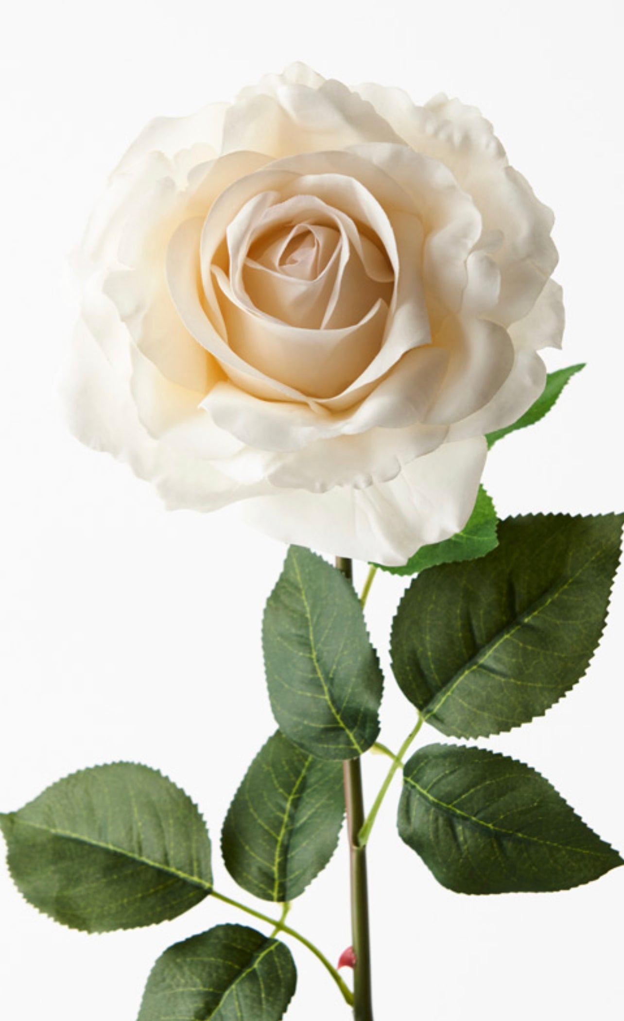 Real Touch Large Rose Single Stem Ivory